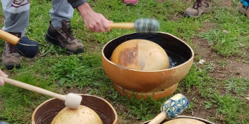 La natura che ci accoglie: educazione in natura con la Libera Università del Bosco