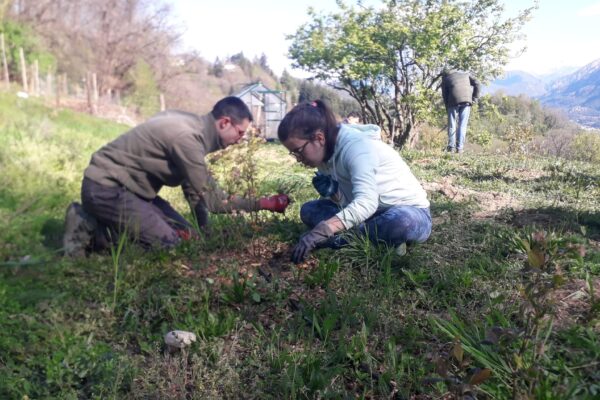 Alla scoperta di fiori ed erbe aromatiche con lo SFA di Oggiono della Coop Soc La Vecchia Quercia