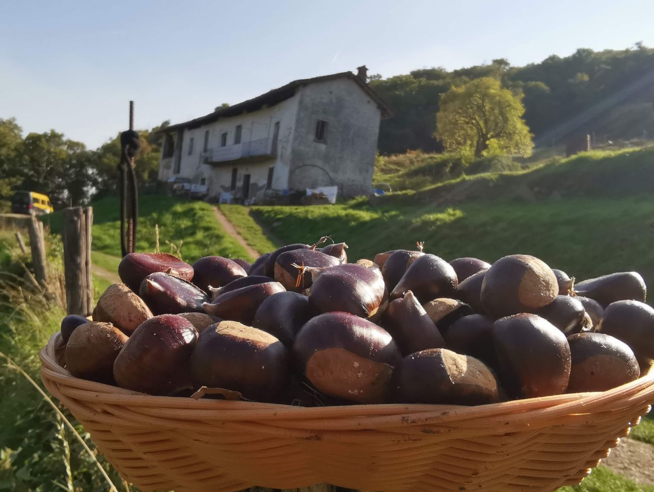 Castagnate e caldarroste a Cascina Rapello o presso la tua sede