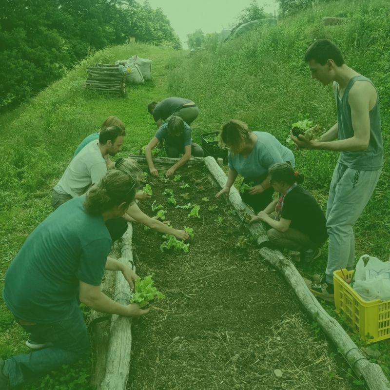 Corso teorico-pratico sull’orto biologico 4/4